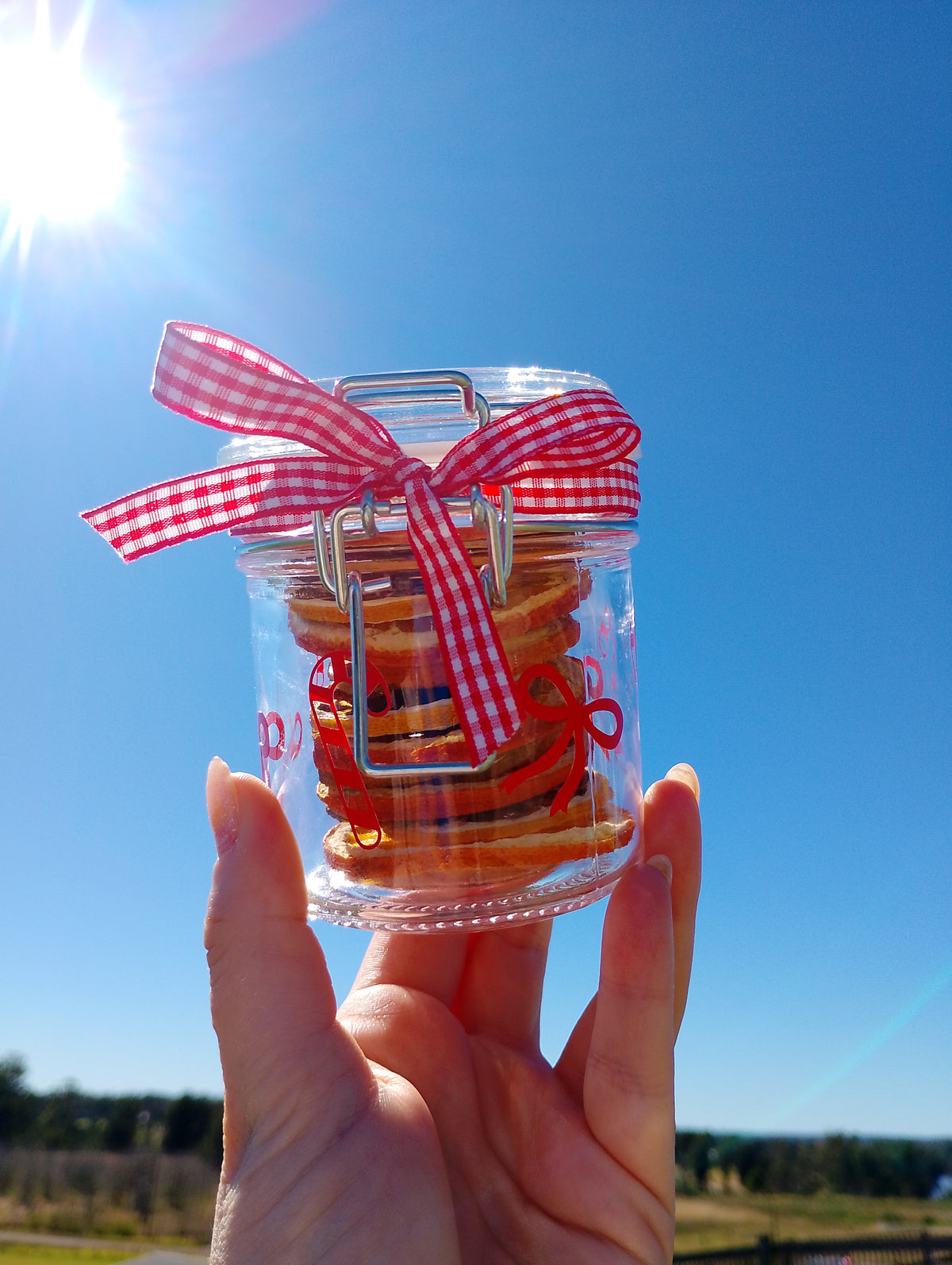 Christmas mixed fruit jar