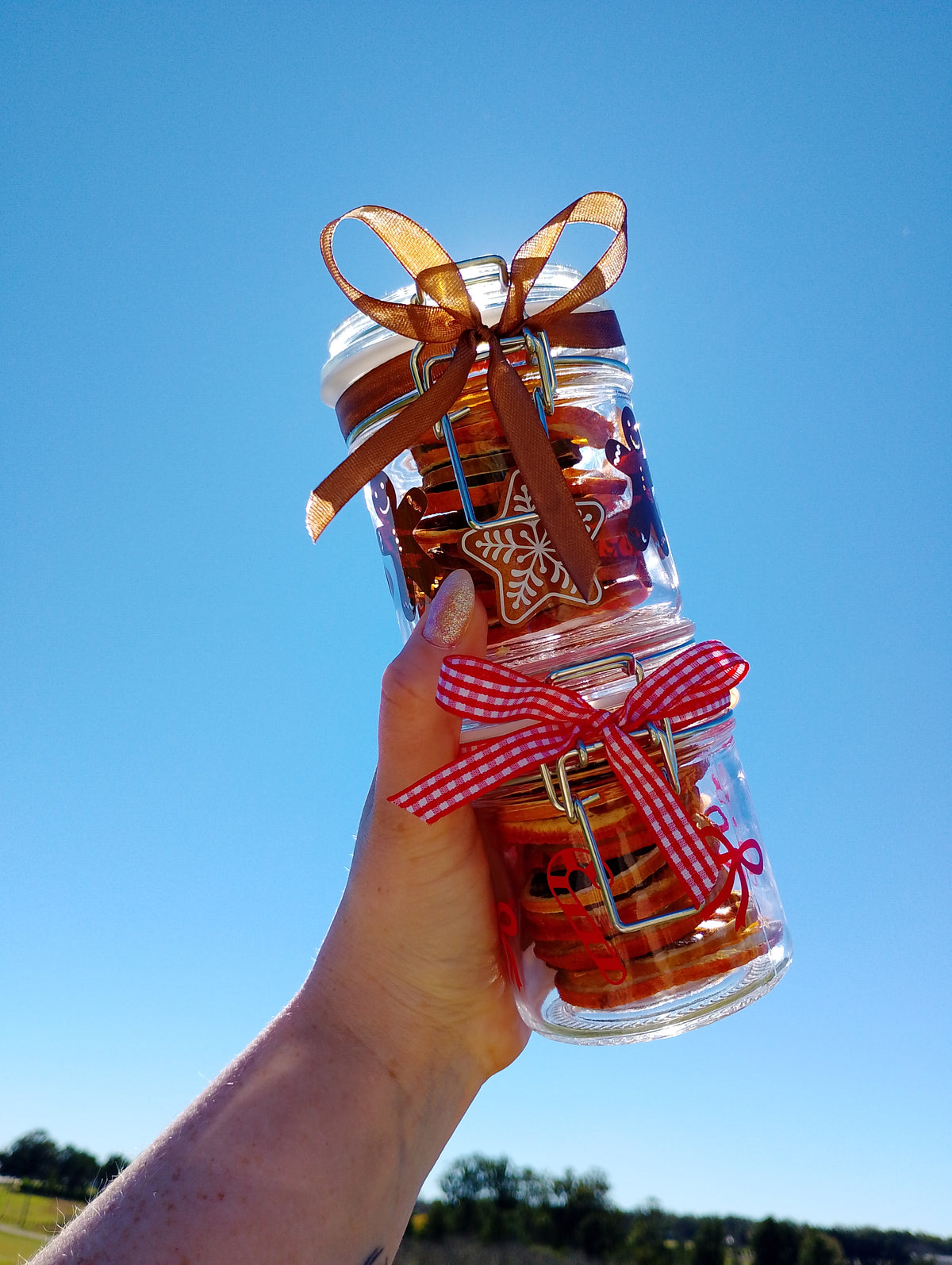 Christmas mixed fruit jar
